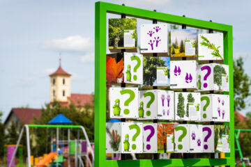 Eko-memory-Naukowe-Place-Zabaw7